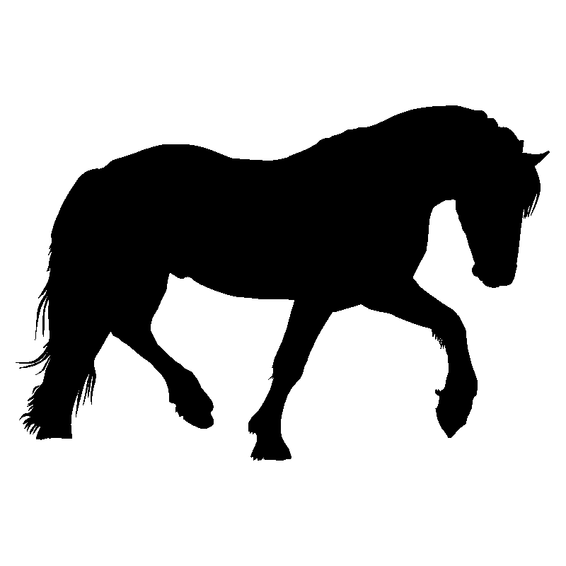 cheval15