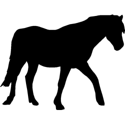 cheval15