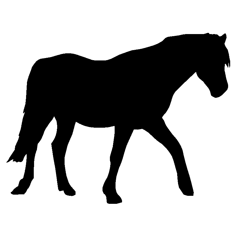 cheval15
