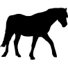 cheval15