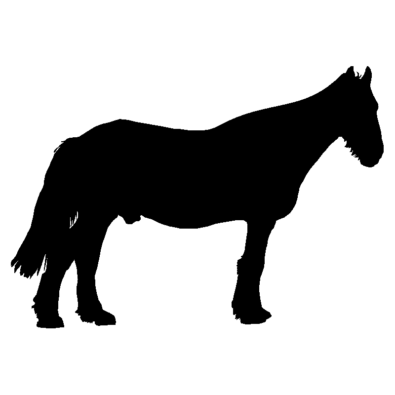 cheval16