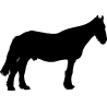 cheval16