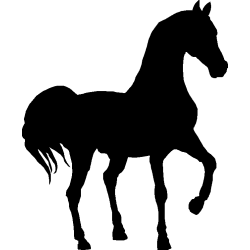 cheval16