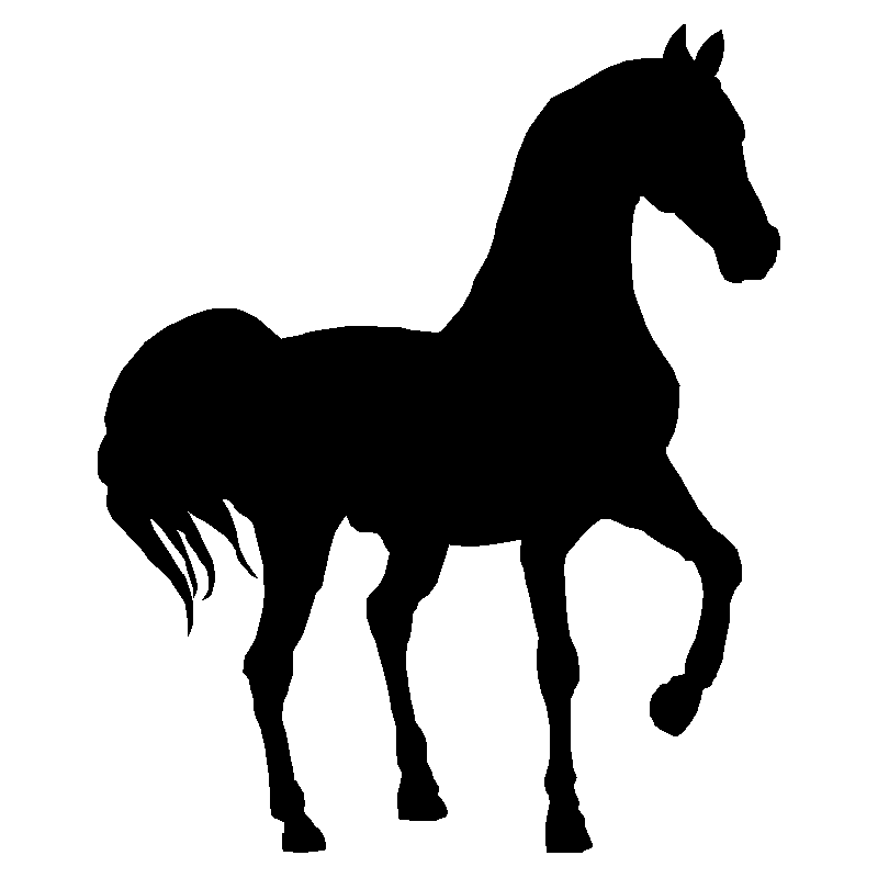 cheval16