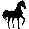 cheval16