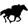 cheval17