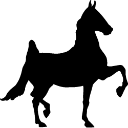 cheval18