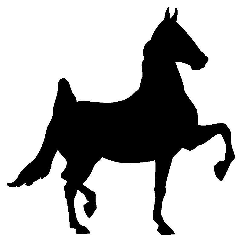 cheval18
