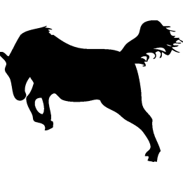 cheval20