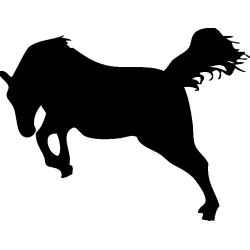 cheval20