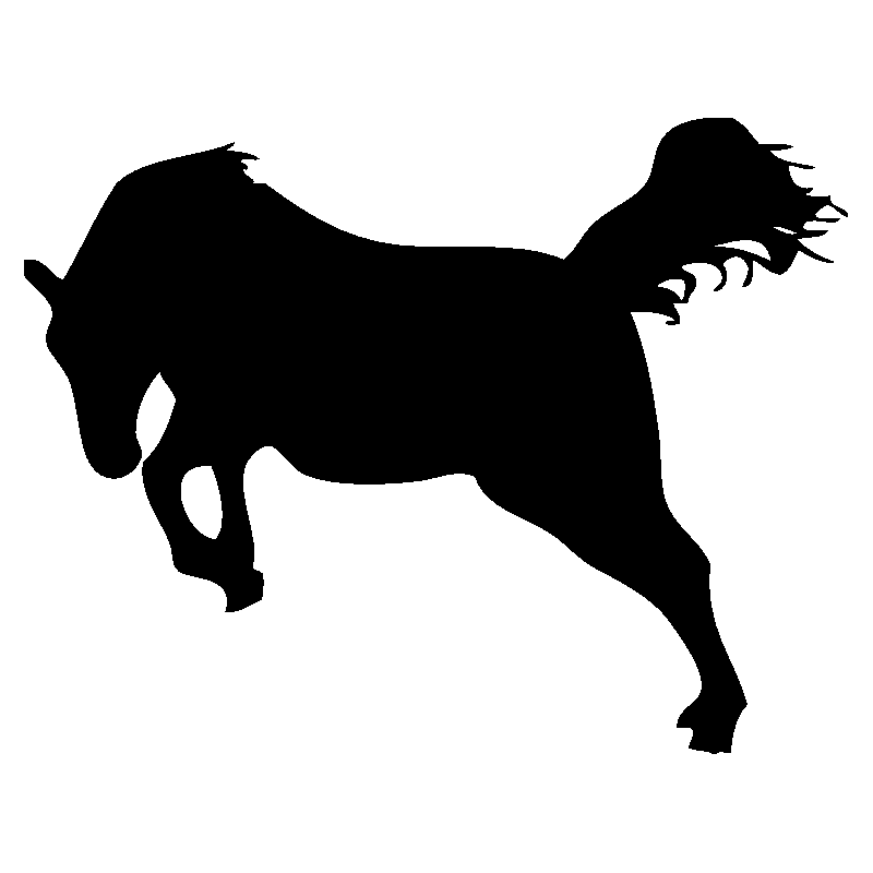 cheval20