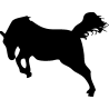 cheval20