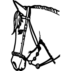 cheval20