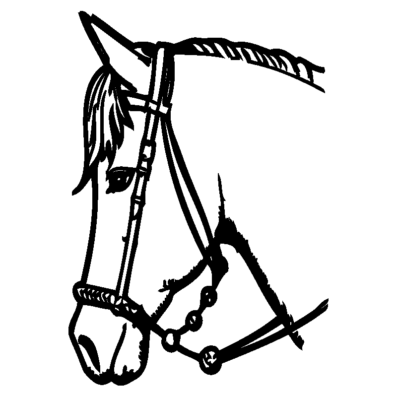 cheval20