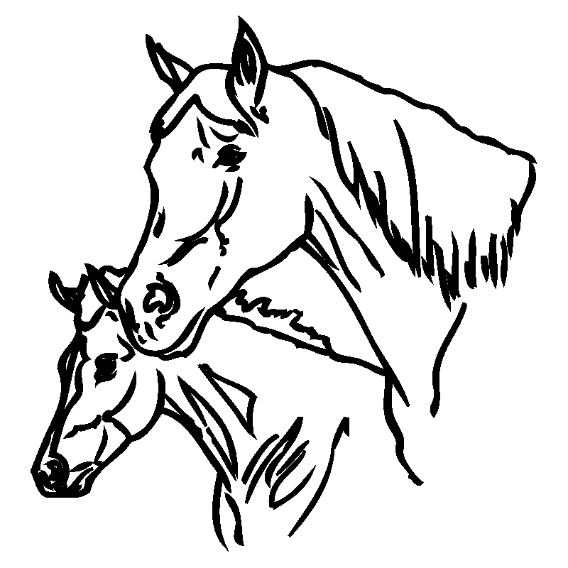 cheval21