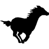 cheval22