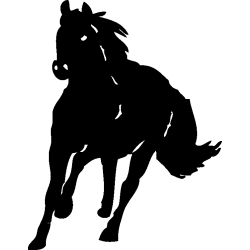 cheval24