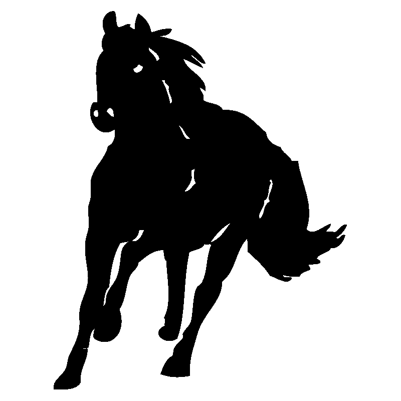 cheval24
