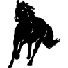 cheval24