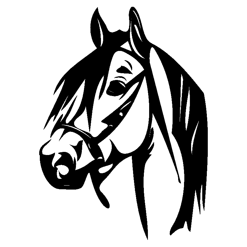 cheval25