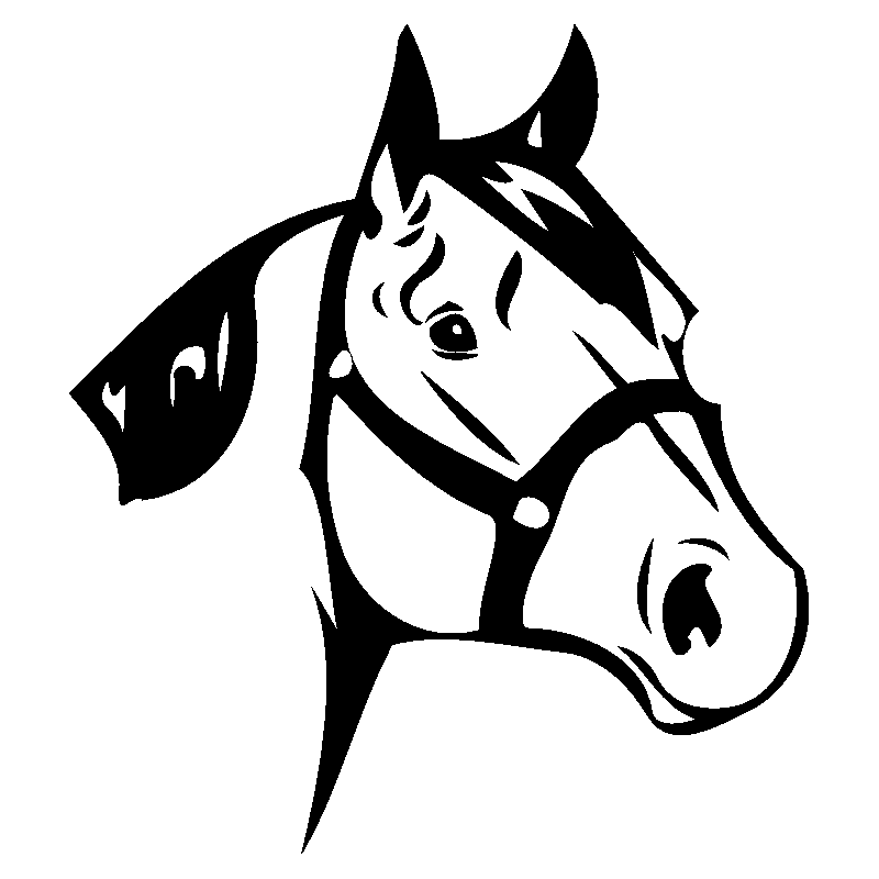 cheval26