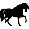 cheval26