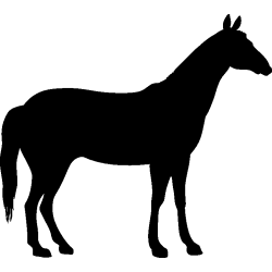 cheval28