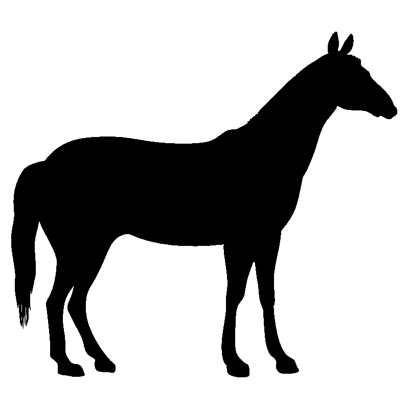cheval28