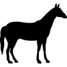 cheval28