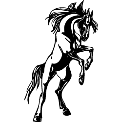 cheval34