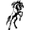 cheval34