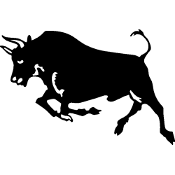taureau2