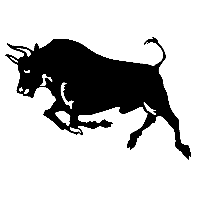 taureau2