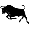 taureau2