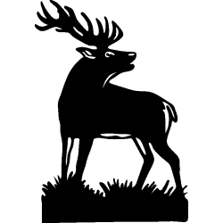 cerf1