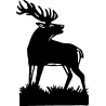 cerf1