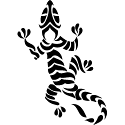 salamandre1