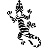salamandre1