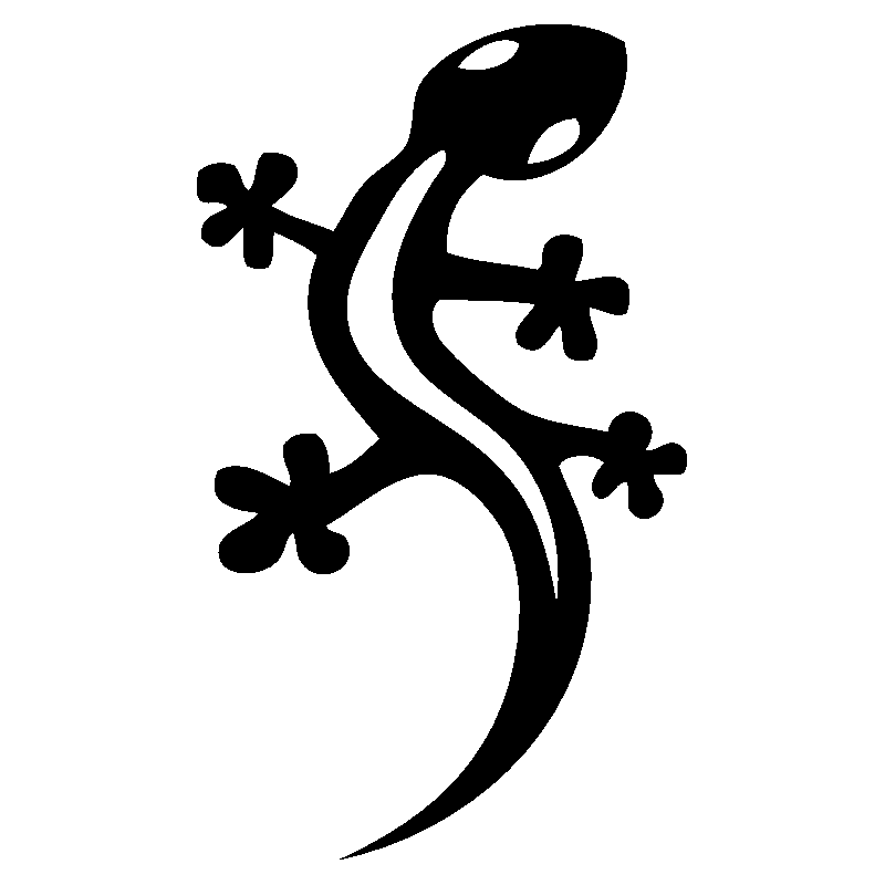 salamandre2
