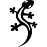 salamandre2