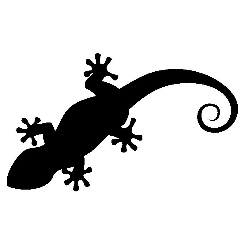 salamandre3
