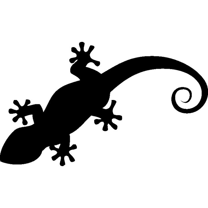 salamandre3