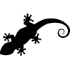 salamandre3
