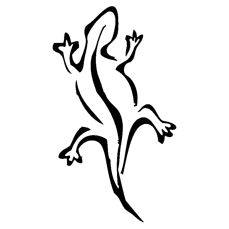 salamandre4