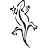 salamandre4
