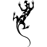 salamandre5