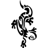 salamandre6