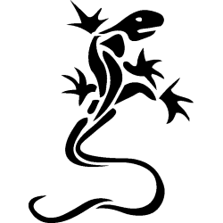 salamandre7