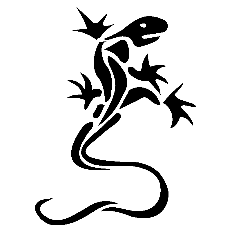salamandre7