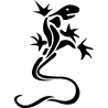 salamandre7